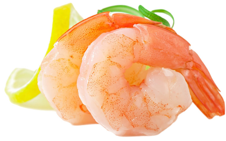 BannerShape3 3