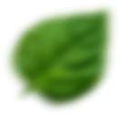 CtaShape1 1