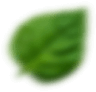 CtaShape3 1