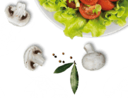 CtaShape3 4