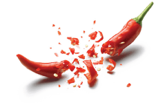 PopularDishesShape1 2